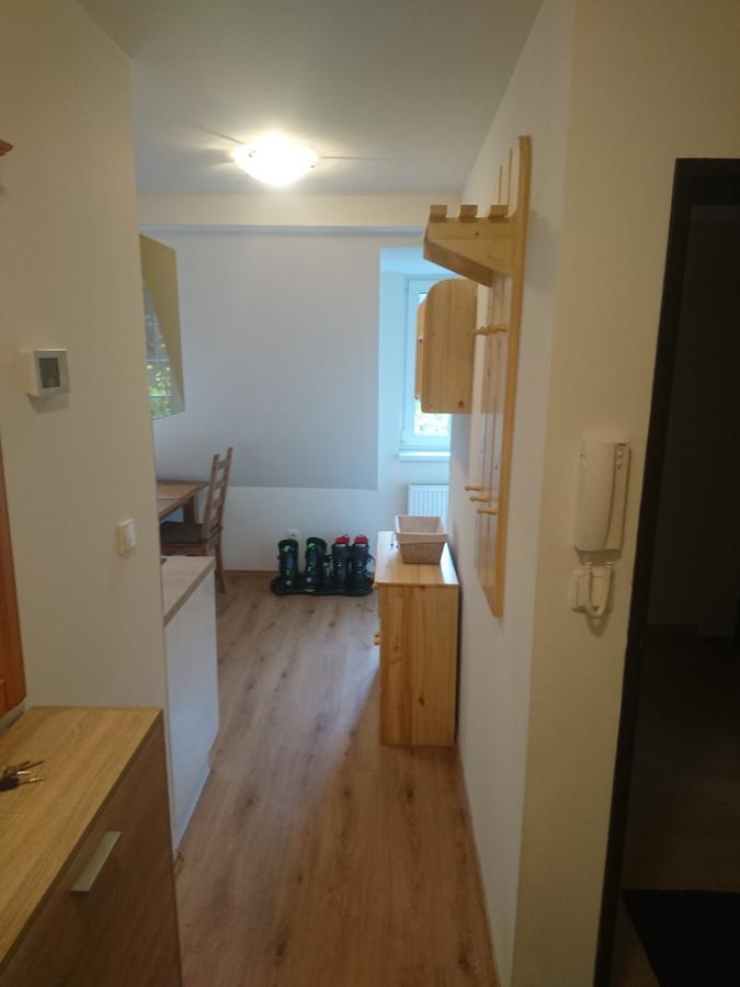 ubytování u Javoru 232/9 Pec pod Sněžkou Exteriér fotografie